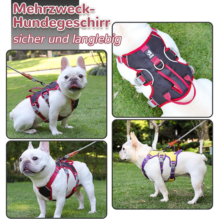 Багатофункціональна шлейка для собак з комплектом повідків, шлейка для собак, що запобігає втечі, запобіжна шлейка для собак малих і середніх розмірів (чорна, M)