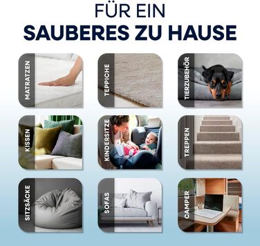 CLEANmaxx Професійний пароочисник для килимів та м'яких меблів Pro Steam | Плямистовий очищувач & EASYmaxx Засіб для килимів | Миючий пилосос для диванів, авто, килимів, м'яких меблів | Плямистовий очищувач (Чорний з шампунем, Pro 400W)