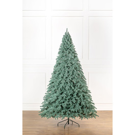 Ялинка лита 'Лапландська' ПАРАСОЛЬКА БЛАКИТНА 2,50м