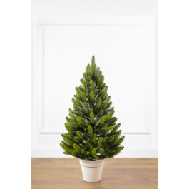 Ялинка лита 'Лапландська' в горщику ВЕСНЯНА 0,90м