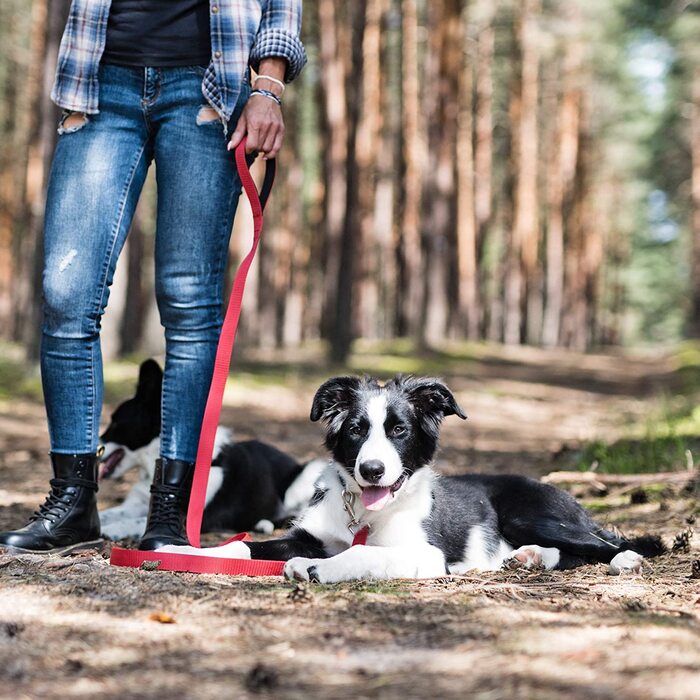 Повідець для собак Beddog Емма, регульований на 3 довжини, подвійний повідець, повідець для вигулу, повідець для вигулу, поводок для собак середнього і великого розміру, загальна довжина 2 м- (2 м/25 мм, червоний)