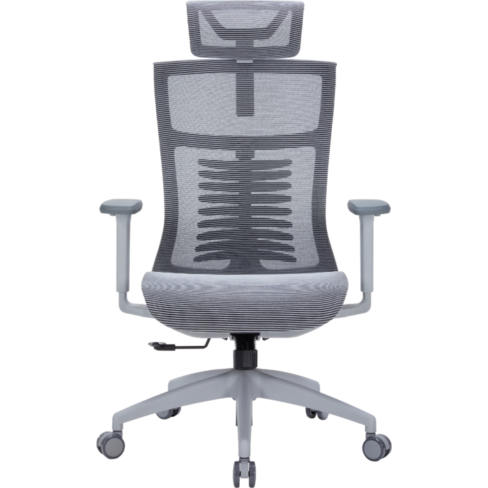 Крісло офісне OfficePro Balance OC620-G-DG-DG