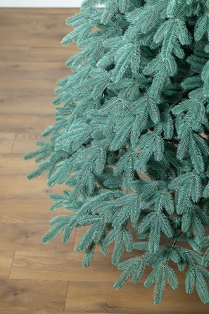 Ялинка лита 'Лапландська' ПАРАСОЛЬКА БЛАКИТНА 2,30м