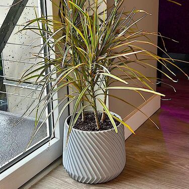 Квітчар Fox & Fern Großer: великий горщик для квітів з бетону 30,5 см з 3D-текстурою та дренажем