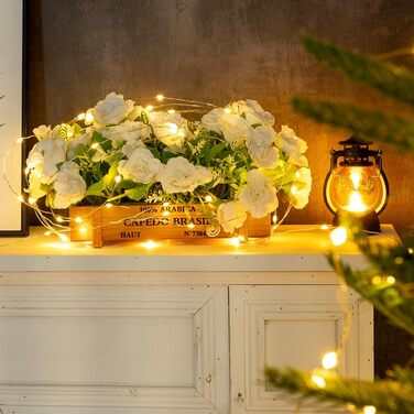 LED гірлянда RESNICE 30м, 300 LED, водонепроникна, з пультом, для дому та саду