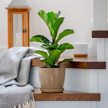 Набір горщиків для квітів KADAX (3 шт., 20 см, бежевий) – пластикові горщики для дому, підвіконня, кімнатних рослин та трав