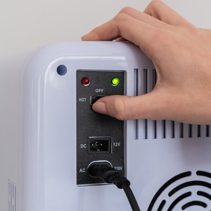 Міні холодильник Flamingueo 10 л, 12V/220V, охолодження і нагрівання, компактний настільний холодильник для напоїв та їжі