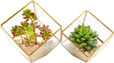 Скляне терассіум ElegantLife Geometris для сукулентів та повітряних рослин (кубічна форма, золото, чорний)