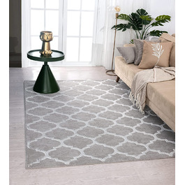Килим для дому The carpet 160x230 см сірий