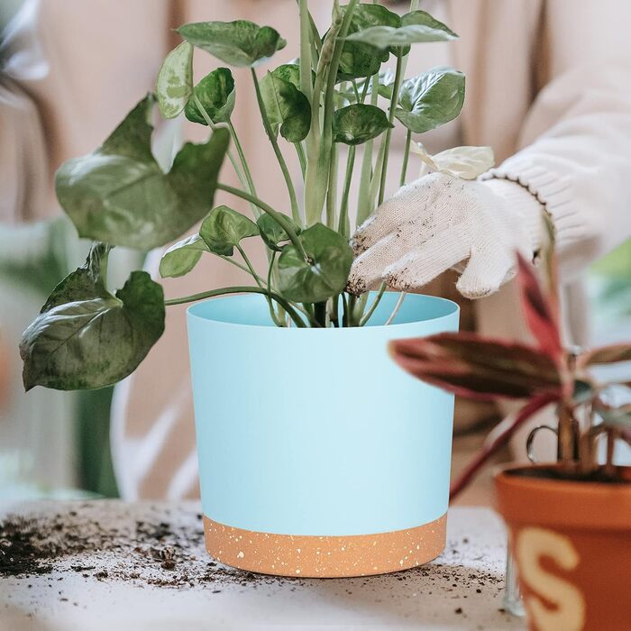Набір горщиків для квітів QCQHDU 2 шт. з дренажними отворами та знімним дном, підставки, сучасний декор для дому та саду (Світло-блакитний, 25.4 см)