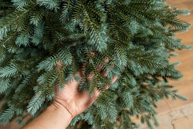 Ялинка штучна 'Аляска' Зелено-Блакитна 2,30 м