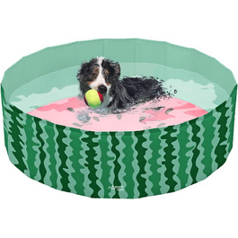 Пластиковий басейн для собак, домашніх тварин, складний, для саду 160 х 30 см (ØxH)