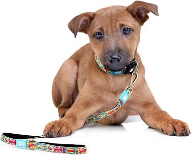 Повідець для собак Max & Molly, 1,2 м, неопреновий, м'який, водонепроникний, можна прати в машині, для собак до 50 кг