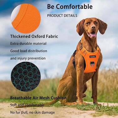 Шлейка для собак Funfox S, не тягнеться, регульована, проти затягування, запобіжна шлейка, дихаюча