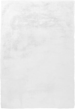 Килим Qiyano з високим ворсом чорного кольору для вітальні зі штучного хутра м'який ворсистий килим штучне хутро М'який волохатий затишний килим, хутряний килим (штучний), Колір антрацит, розмір (120 х 170 см, білий100)