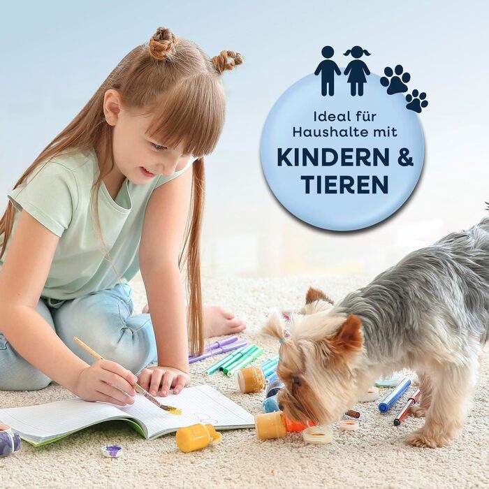 CLEANmaxx Професійний пароочисник та чистий для м'яких меблів Pro Steam | Плямистий очищувач & EASYmaxx Очисник килимів | Миючий пилосос та очищувач для диванів, авто, килимів, м'яких меблів тощо | Очищувач плям (Чорний з шампунем, Компакт 330W)