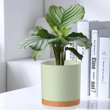 Набір горщиків для квітів 5 шт. з підставками, 17.8/15.2/14/12.7/10.2 см, пластикові, для гідропоніки, внутрішнього та балконного озеленення, зелені з коричневим піддоном