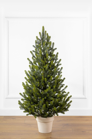 Ялинка лита 'Віденська' в горщику ВЕСНЯНА 1,10м