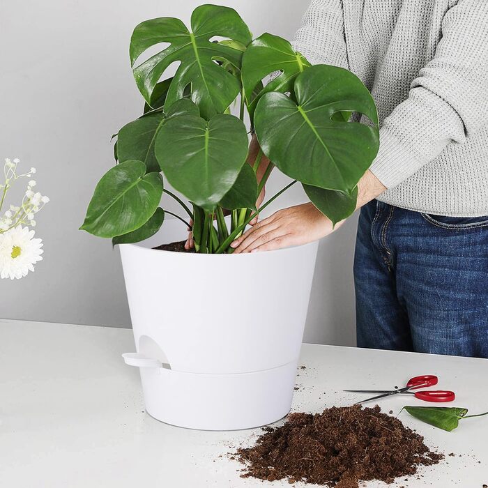 Набір з 2 горщиків для квітів 25.4 см, пластик, з системою поливу, для дому, балкону, саду, сукулентів, кактусів (зелений, білий)