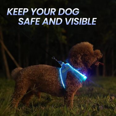 Нагрудна шлейка для собак зі світлодіодним підсвічуванням, заряджається від USB, світловідбиваюча, дихаюча, легка, синя M M