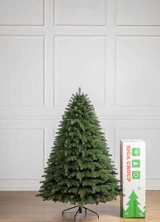 Ялинка лита 'Версальська' Зелена 2,10м
