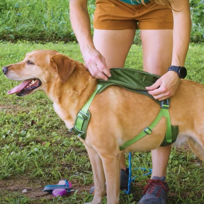 Шлея для собак Kurgo Cascade, Шлейка для собак з рюкзаком, Туристичний рюкзак для собак, розмір M, Green Green M