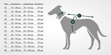 Термобілизна для собак HUNTER UPPSALA, Термобілизна, водовідштовхувальна, 30, антрацит, антрацит, 30