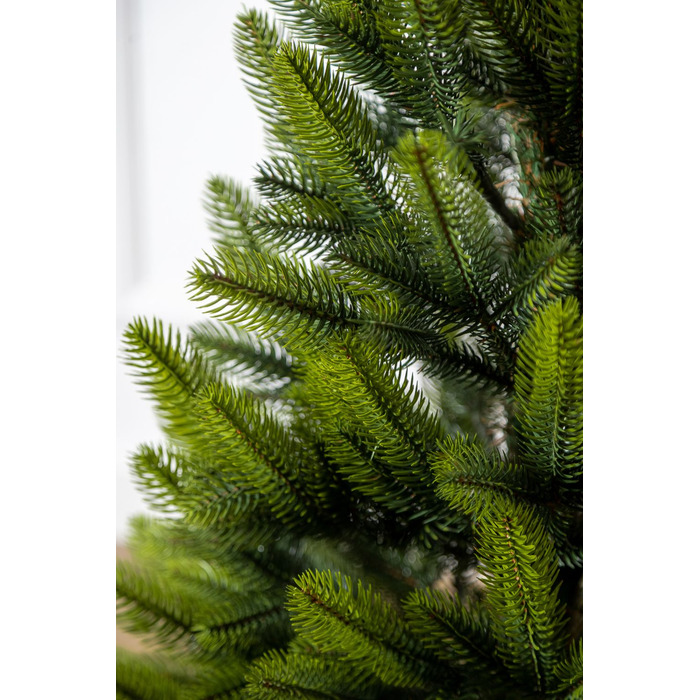 Ялинка лита 'Лапландська' в горщику ВЕСНЯНА 0,90м