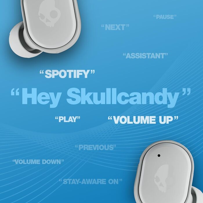 Бездротові навушники-вкладиші Skullcandy, 40 годин батареї, Skull-iQ, Alexa, Micro, iPhone/Android, Сірий/Синій