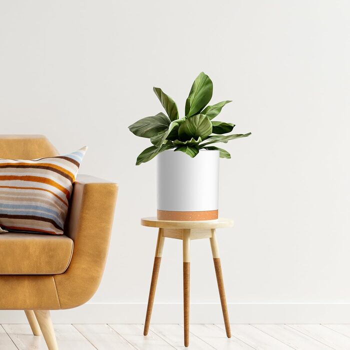 Набір горщиків для квітів з підставкою (5 шт.), 17.8/15.2/14/12.7/10.2 см, пластик, для дому та балкона, зелений з коричневим підставкою