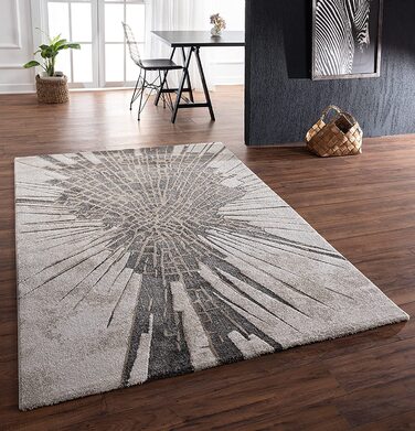 Килими Міас килими світу килим для вітальні 160x230 см з фризом 28066 95-сірий (120 см х 170 см, бежевий / Каньйонний)