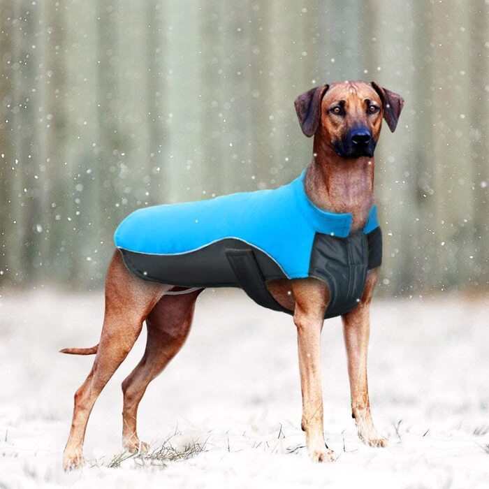 Теплий спортивний жилет для собак Berry, світловідбиваючий, для сніжної одягу, доступний в 8 розмірах для маленьких, середніх і великих собак (Довжина груди 39-46 см, довжина спини 35 см, синій)