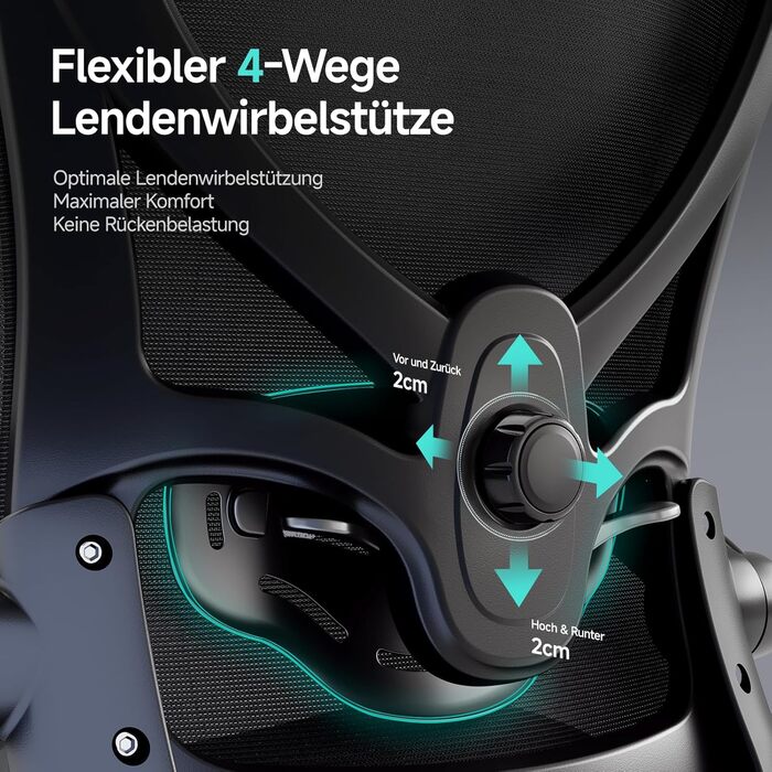 Офісне крісло LarkLeaves з ергономічною підтримкою спини, регульованими підлокітниками, сітчастою спинкою та підголівником, для офісу, навчання, бібліотеки, 140 кг, (Чорний, Lite)