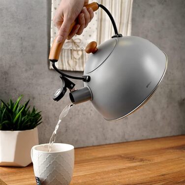 Чайник Чайник Флейтовий зі сталевою трубою для газових плит індукційний сірий Дерев'яний 2,9л