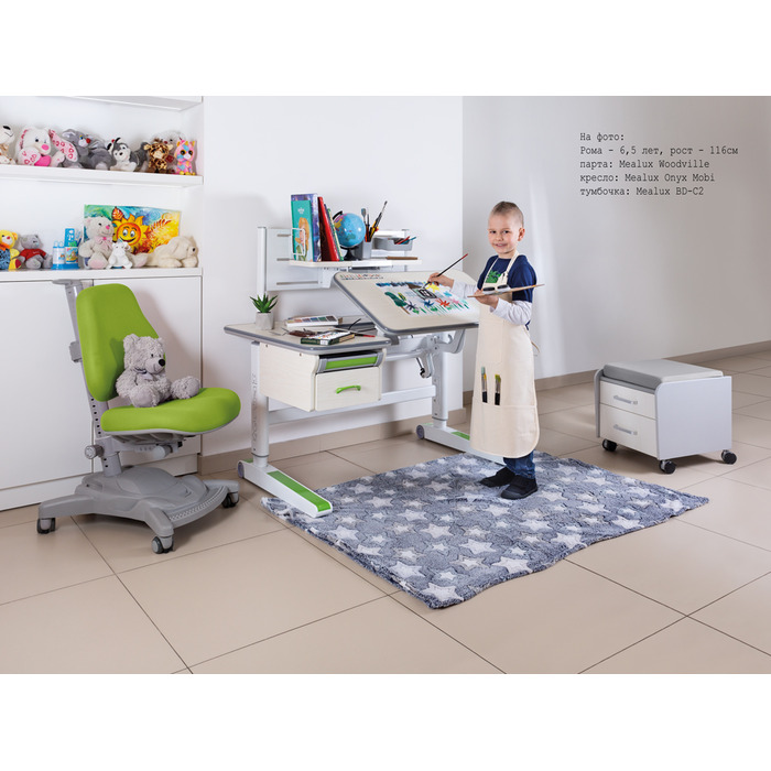 Дитячий стіл Mealux Woodville Multicolor W (арт. BD-850 W/MC)