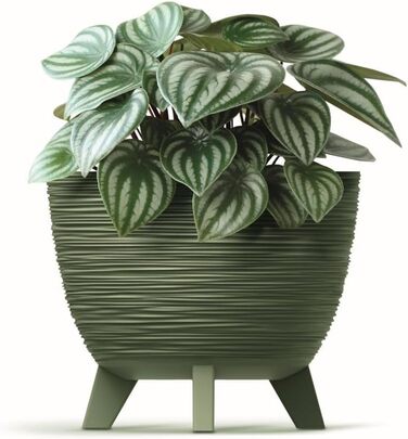 Квітчанка BirnePower Furu Ø 39,5 см, антрацит, 26 л – круглий горщик для квітів з ніжками, пластик, для дому та саду