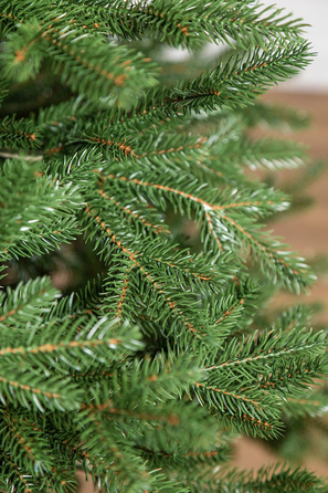 Ялинка лита 'Альпійська' ПАРАСОЛЬКА ЗЕЛЕНА 1,50м