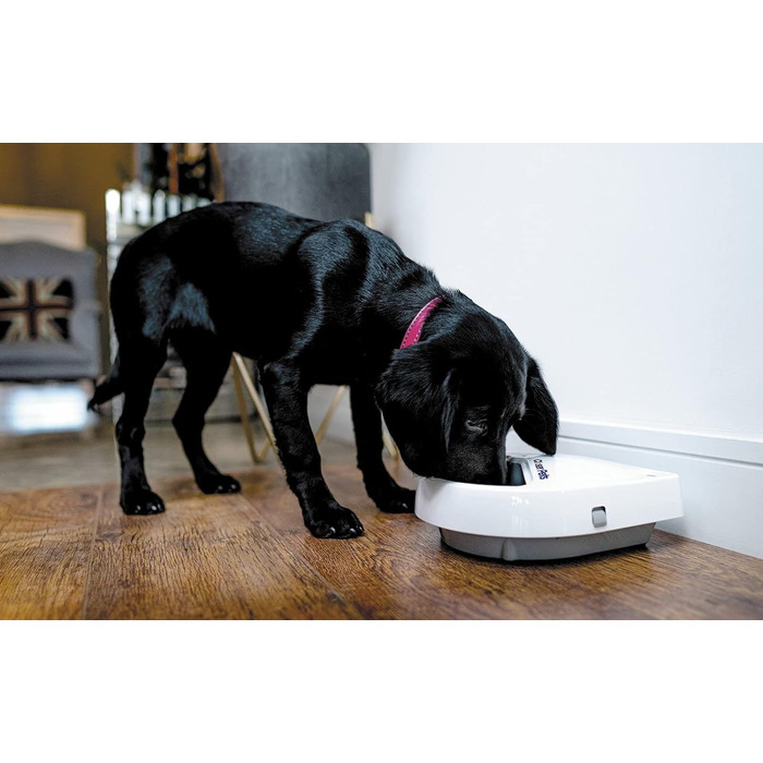 Автоматичний дозатор їжі для котів або маленьких собак з цифровим таймером, для вологого або сухого корму для домашніх тварин, 3 каруселі, кожна до 330 г (раніше Cat Mate) 3 годівниці для їжі, 300