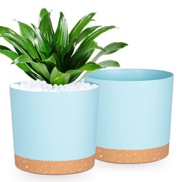 розмір: 25,4 см