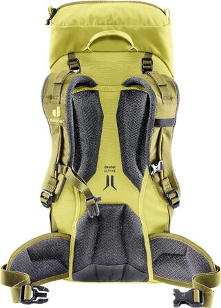 Рюкзак Deuter Unisex Kids Climber 22 Alpine (1 упаковка) (22 л, Паросток-липа)