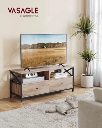 Тумба під ТВ VASAGLE, 120 см, для телевізора до 55 дюймів, 2 шухляди, 2 відкриті полиці, сталевий каркас, вінтажний колір, LTV300B01