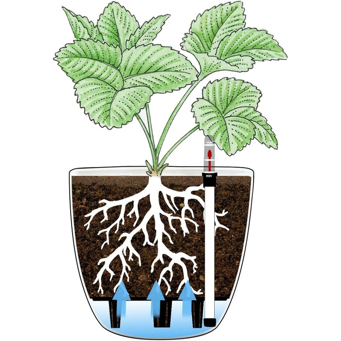 Набір горщиків для квітів T4U 15 см з автополивом та індикатором рівня води (4 шт.) - білий