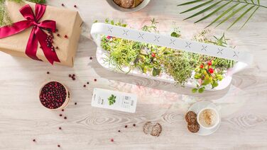 Click and Grow Indoor Garten: Розумний сад для вирощування зелені вдома з LED, 9 капсул (білий)