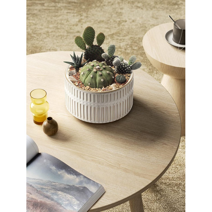 Набір горщиків для сукулентів LE TAUCI, 16,5+20 см, кераміка, з дренажними отворами, сучасний циліндричний дизайн, набір 2 шт., реактивна глазур білого кольору