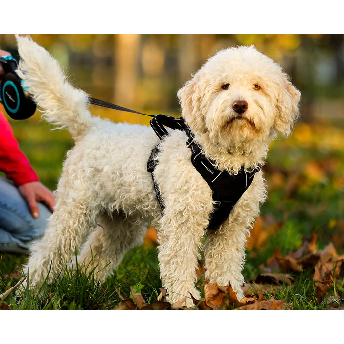 Захисна шлейка FIRSTPAW для собак середнього розміру M, світловідбиваюча, регульована, м'яка і дихаюча шлейка для собак середнього розміру