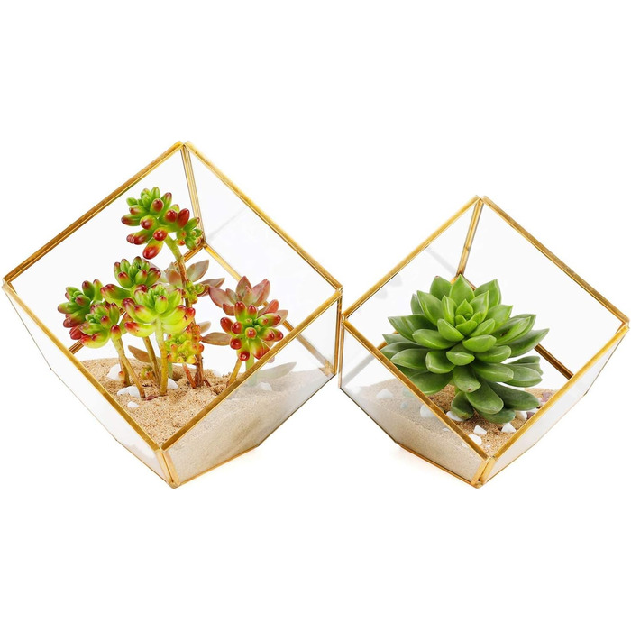 Скляне терассіум ElegantLife Geometris для сукулентів та повітряних рослин (кубічна форма, золото, чорний)