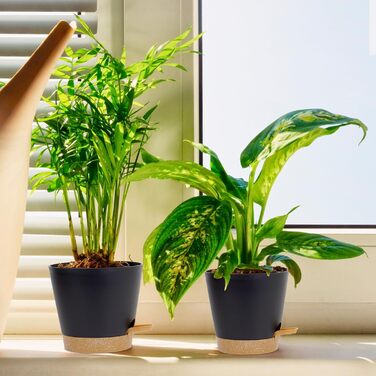 Набір горщиків для квітів 6 шт. з автополивом, 20.3-12.7 см, з підставкою, для дому та балкону, чорний/коричневий