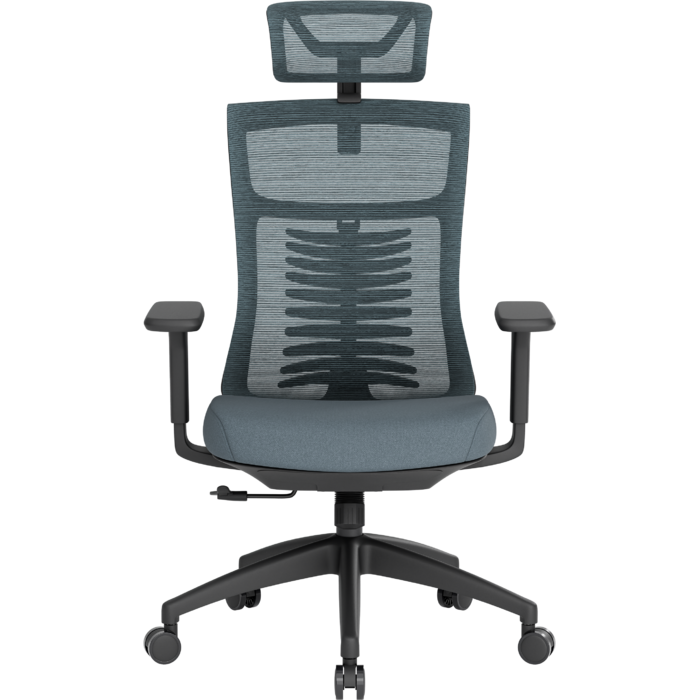 Крісло офісне OfficePro Balance OC550-B-DG-DG