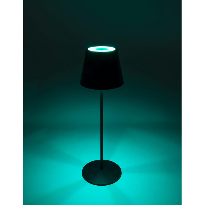 Стійка лампа Schwaiger OTL200 з нічним світлом LED, RGB, акумулятор, диммування, IP44, чорний (для дому та саду)