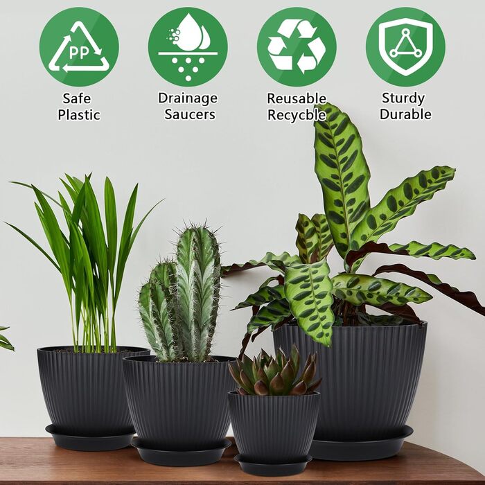 Набір горщиків для квітів з пластику, 8 шт. з отворами, круглі підставки, горщики для кактусів та трав, набір для офісу, балкону, саду, сукулентів, чорний